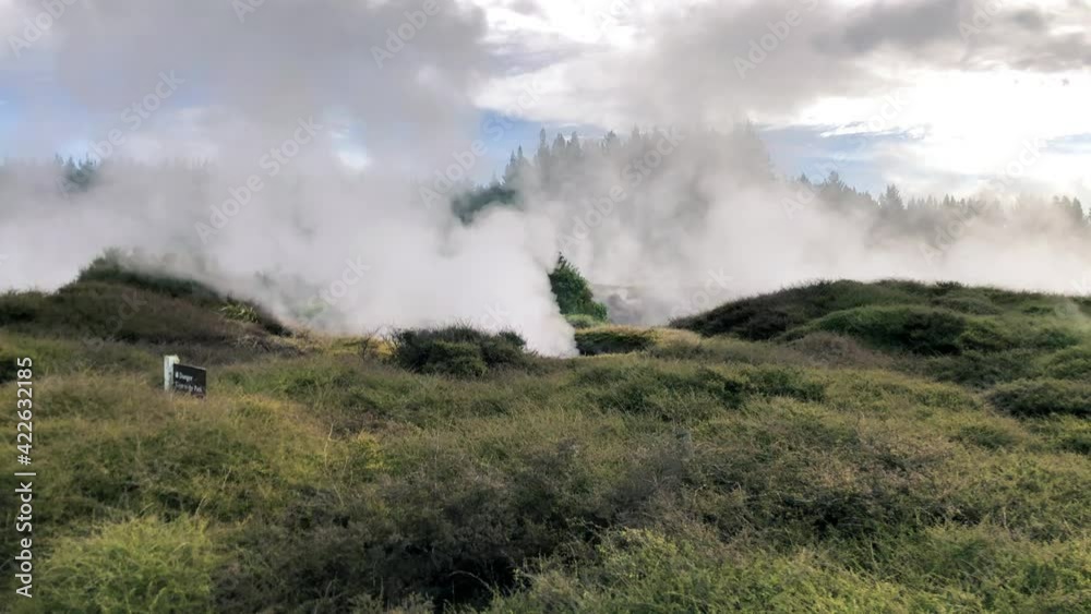 Powerful geysers of Rotorua, New Zealand Powerful geysers of Rotorua, New Zealand