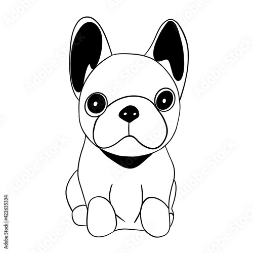 cute little bulldog with black ears