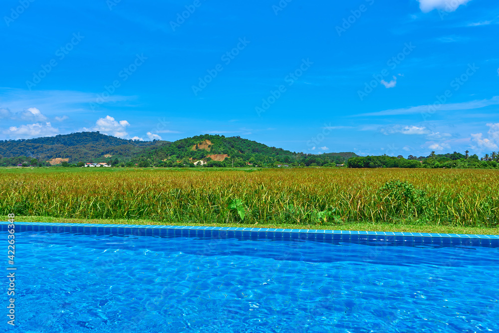 The view from the pool to the field and mountains. Swimming pool in an unusual location