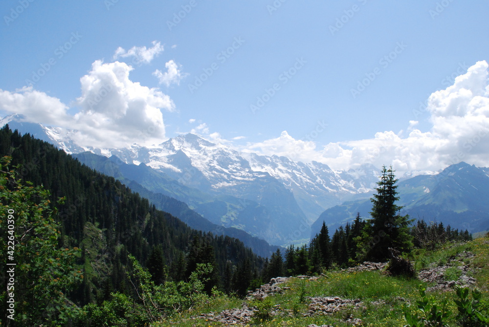 Fototapeta premium Die Bergwelt der Schweiz