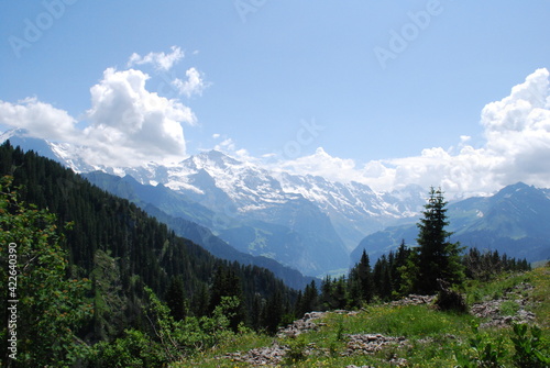 Die Bergwelt der Schweiz