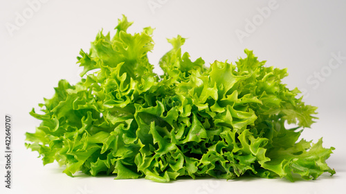 Bunch of lettuce leaves. Green Batavia lettuce on a light background. Green loose leaf lettuce. Coral lettuce