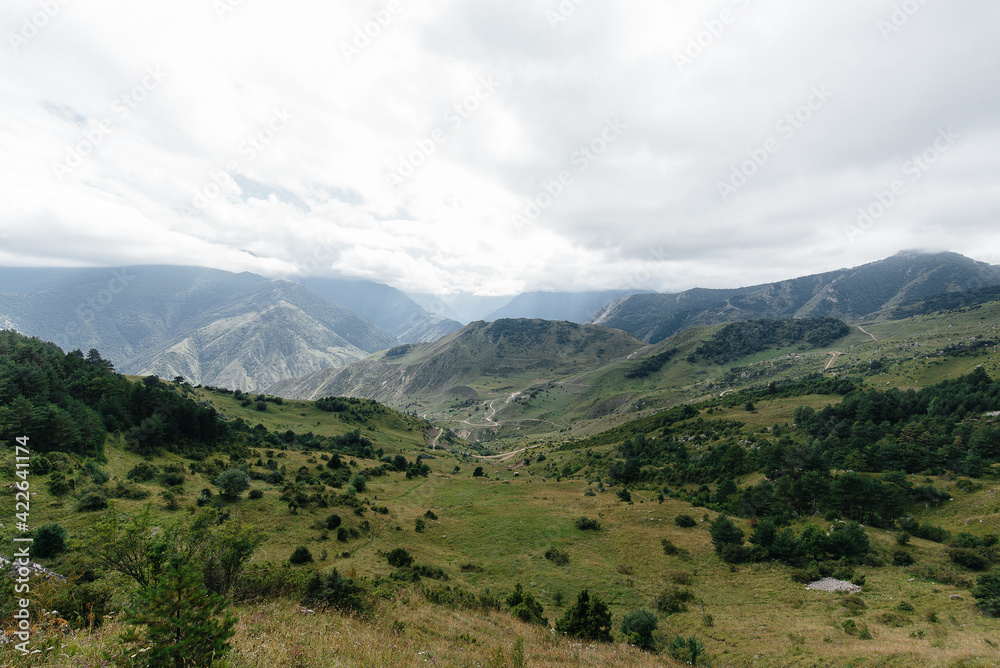 Beautiful mountains and wildlife around them on a Sunny day