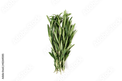 bunch of fresh green rosemary isolated on white. top view