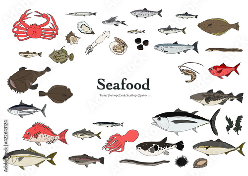 魚のイラストセット-手描き