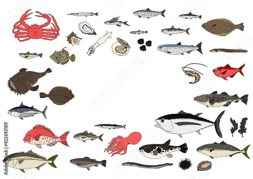 魚のイラストセット-手描き