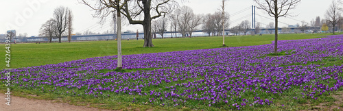 Wallpaper Mural Blaues Band Düsseldorf Torontodigital.ca