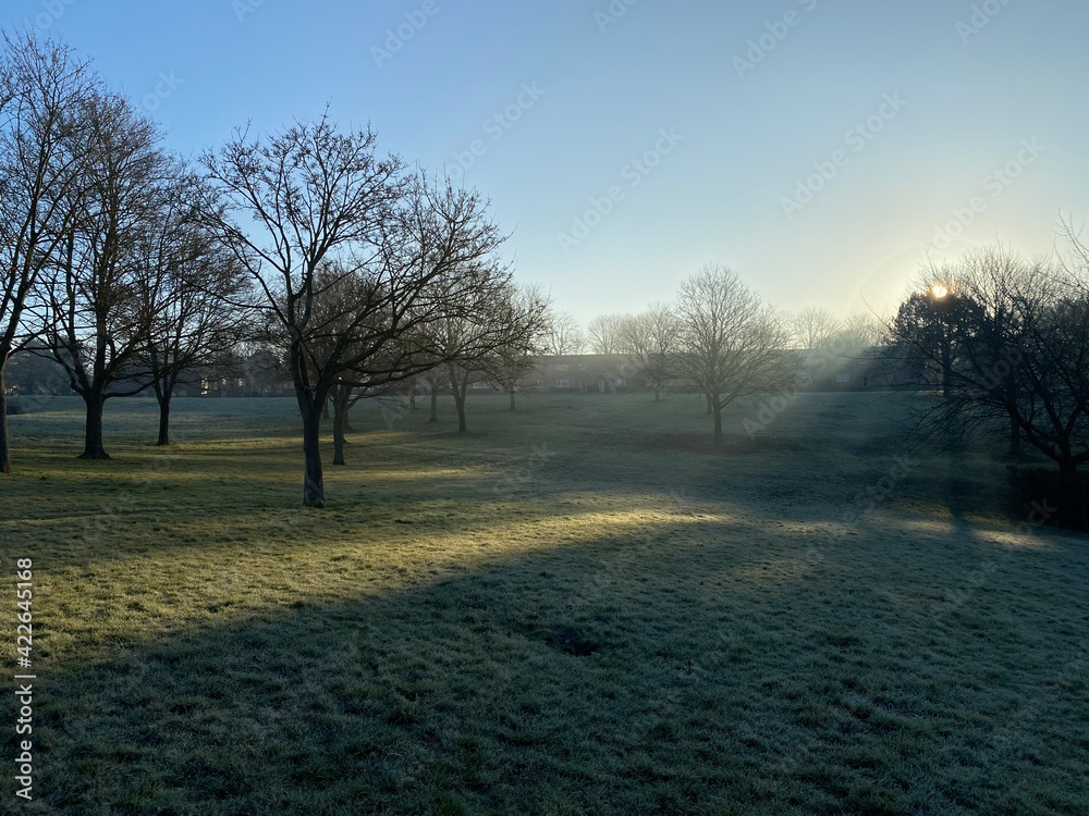 Sunset in a foggy day orange tinge fog. Beautiful misty sunrise landscape. Foggy morning with trees in English town Sunset in a foggy day orange tinge fog. Beautiful misty sunrise landscape. Foggy morning with trees in English town