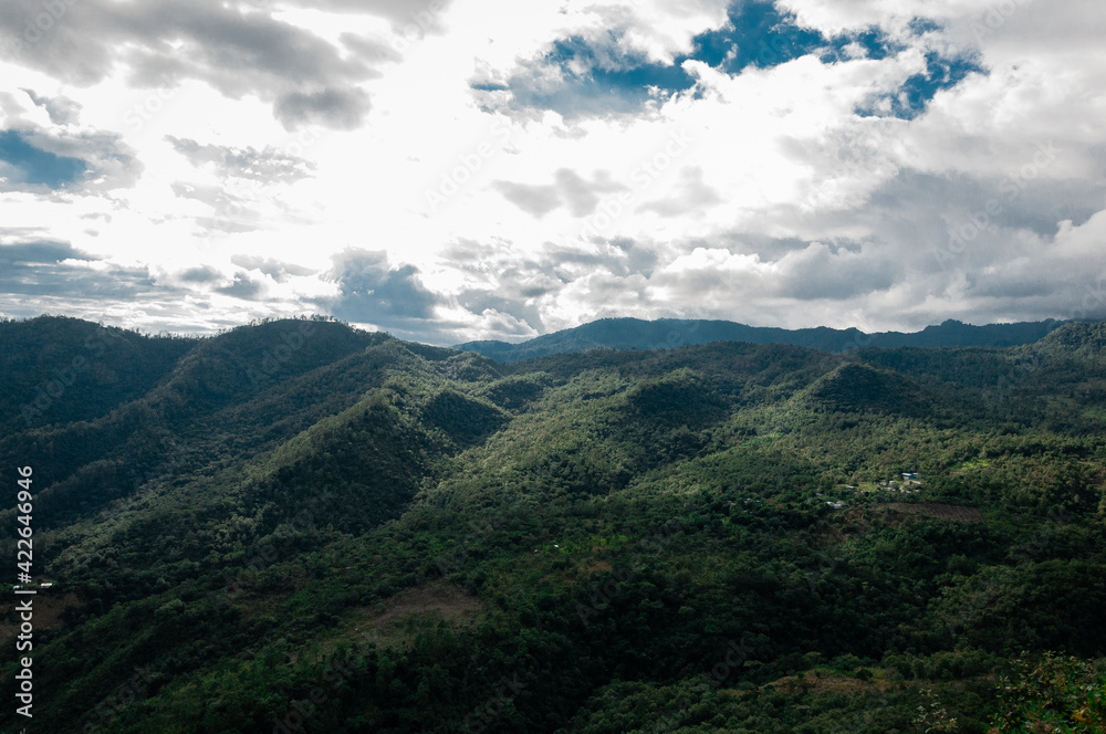 Trees and landscapes in Guatemala