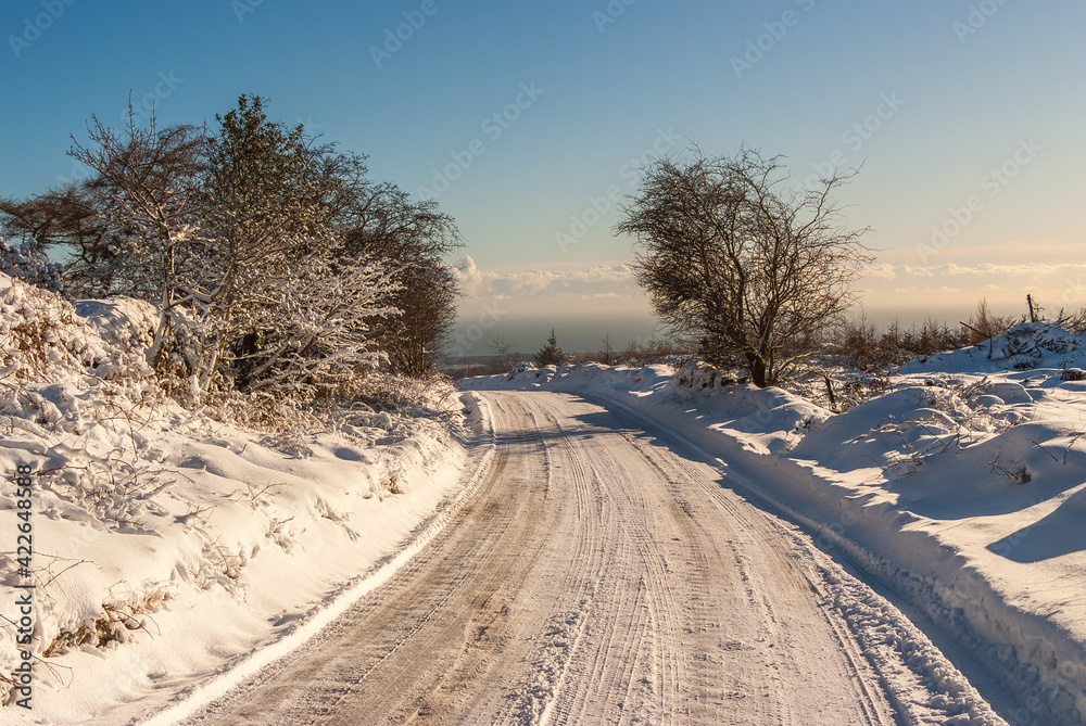 Obraz premium road in winter, Wicklow Ireland