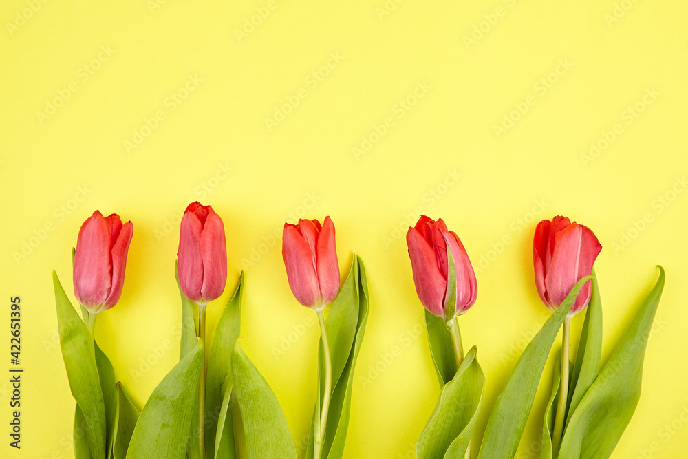 Red tulips on yellow background. Fresh spring flowers Red tulips on yellow background. Fresh spring flowers