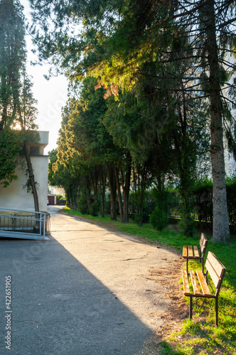 Foto Green allay with trees to sit and look at the sunset.