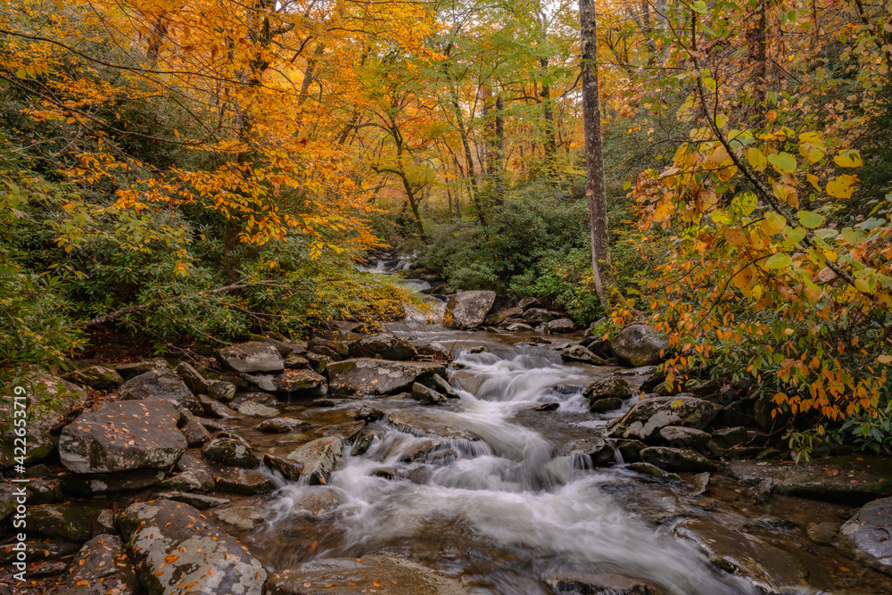 Layers of Colors and Textures Along Rushing Creek