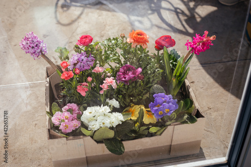 Home delivery of a small beautiful flowers