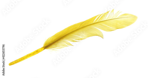 Yellow feather, quill isolated on white background with clipping path