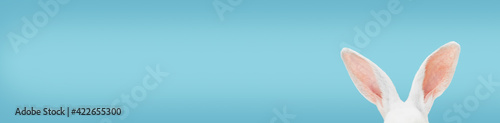 Foto White rabbit ears on a light blue background with copy space
