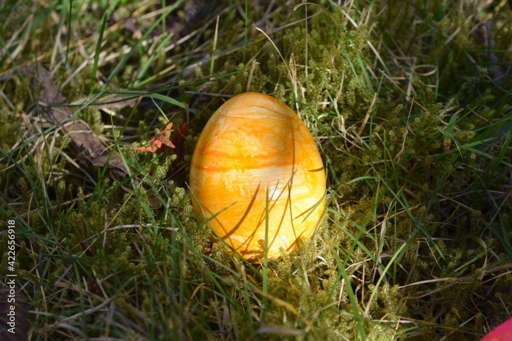 Yellow colored easteregg in the mossy grass Yellow colored easteregg in the mossy grass