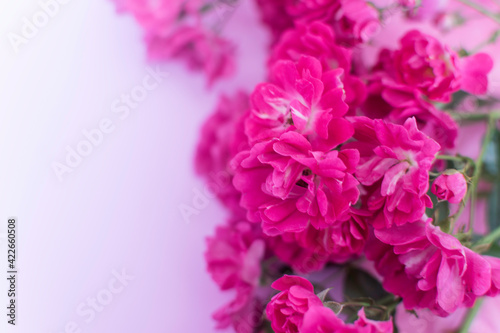 Pink flowers on pastel pink background. Mothers day, Valentines Day, Birthday celebration concept. Greeting card. Copy space for text, top view.Blur