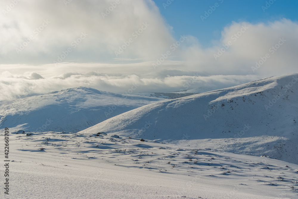 Wicklow Mountains National Park in winter time, Ireland
Wicklow Mountains National Park in winter time, Ireland