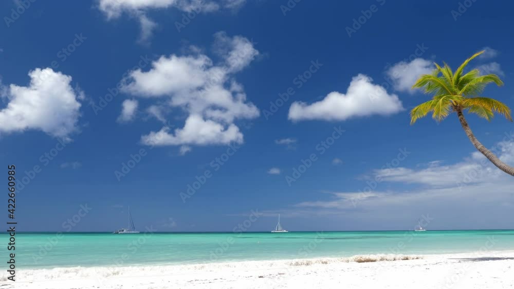 Coconut palm trees on white sandy beach at caribbean island. Travel destinations. Saona Island Coconut palm trees on white sandy beach at caribbean island. Travel destinations. Saona Island