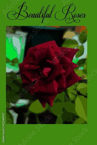 Beautiful Red Flower