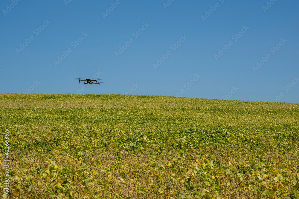 drone flying over soy plantation on sunny day in Brazil drone flying over soy plantation on sunny day in Brazil