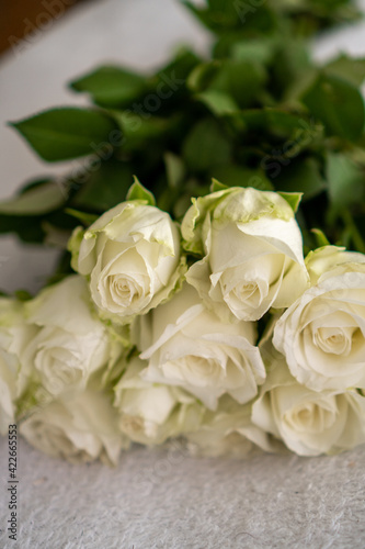 bouquet of white roses on a white background © Anna