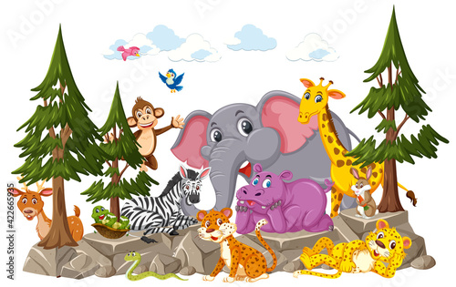 Wild animal group cartoon character on white background