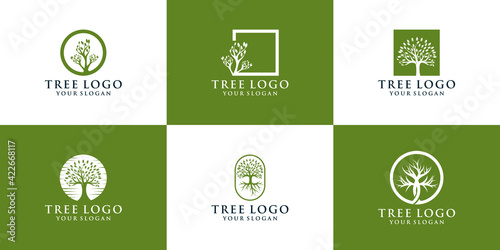 collection of natural tree logos