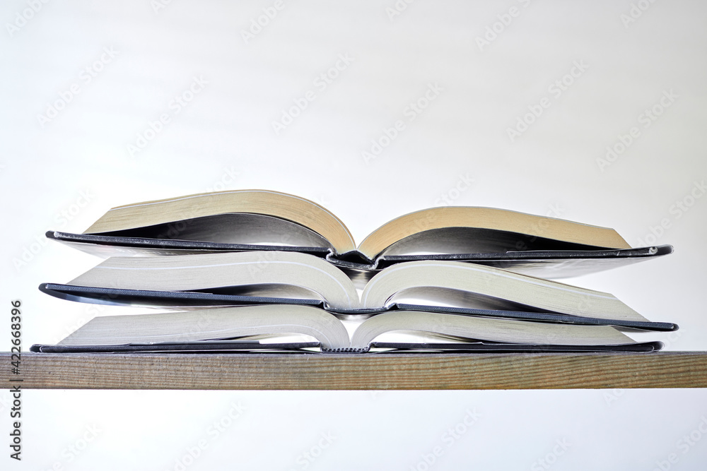Fototapeta premium Reading Book