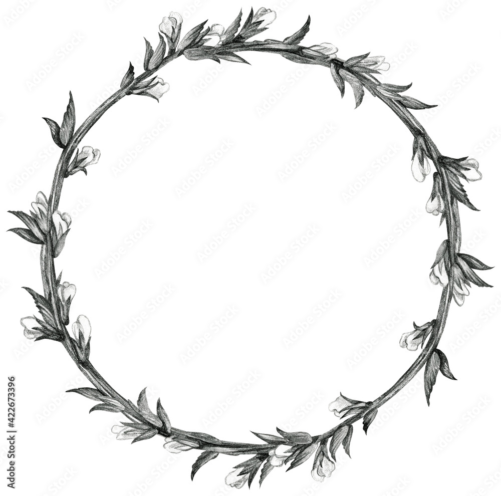 Wreath, frame with .branch with flowers. Pencil drawing illustration. The print is used for Wallpaper design, fabric, textile, packaging. Wreath, frame with .branch with flowers. Pencil drawing illustration. The print is used for Wallpaper design, fabric, textile, packaging.