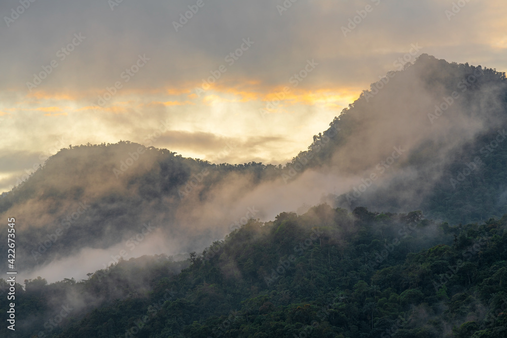 Cloud forest landscape at sunrise, Mindo, Quito region, Ecuador.