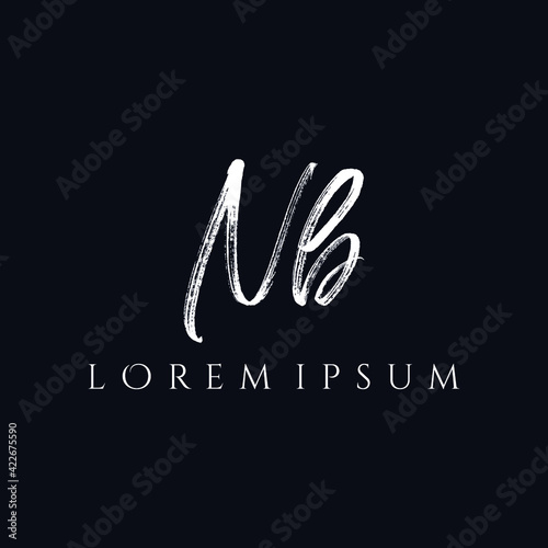 Letter NB luxury logo design vector