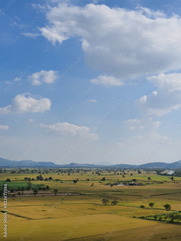 Fototapeta premium landscape with sky