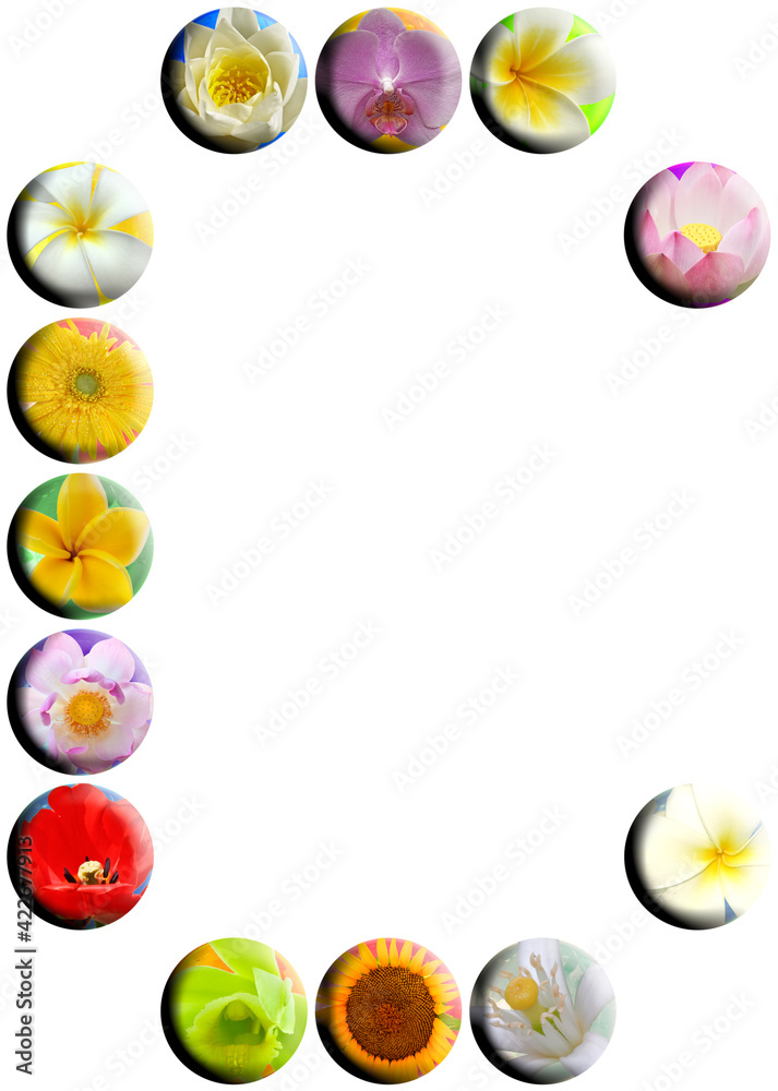 Lettre c, boutons fleuris Lettre c, boutons fleuris