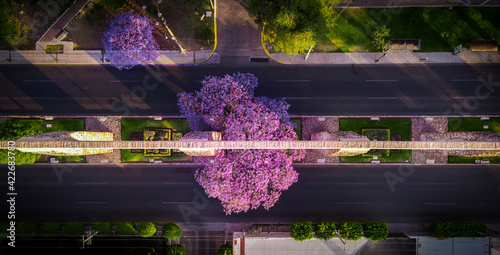 Aerial View from Los Arcos, Queretaro, Mexico photo