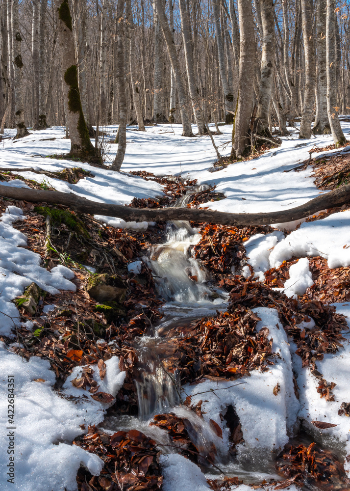 Spring stream in the forest. Snow melting Spring stream in the forest. Snow melting