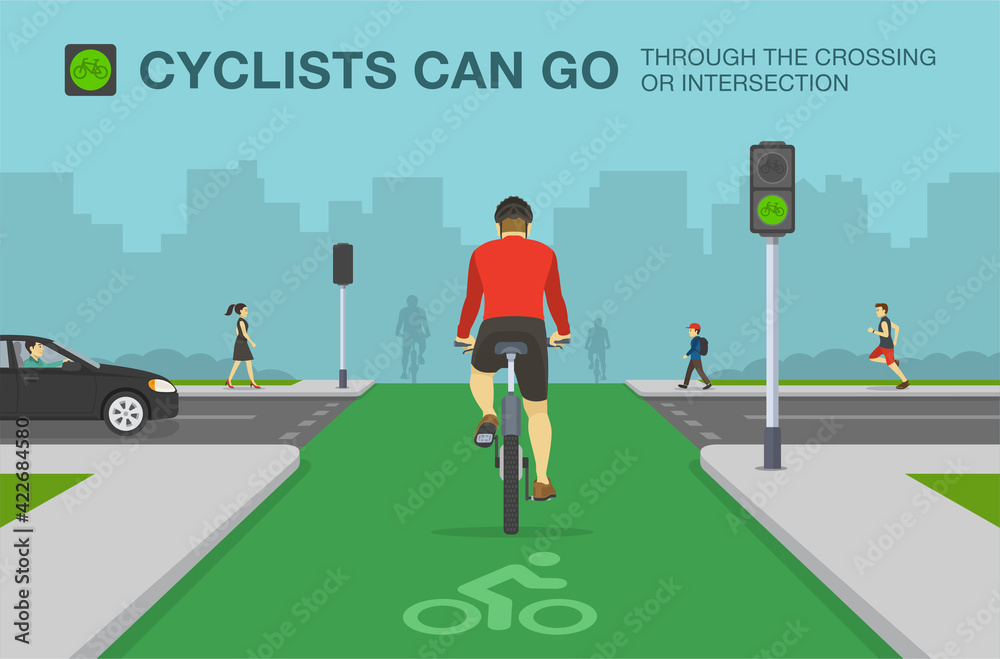 Fototapeta premium Back view of cyclist on a bicycle lane. City road with dedicated bicycle lane and traffic signal. Flat vector illustration template.