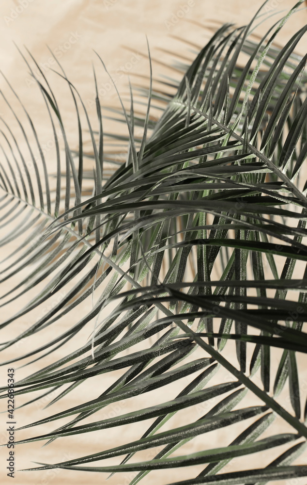 Fototapeta premium palm leaves background with sunlight shadow on beige paper texture .Tropics minimalist abstract backdrop. poster.
