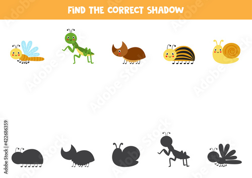 Find the correct shadows of cute insects. Logical puzzle for kids.