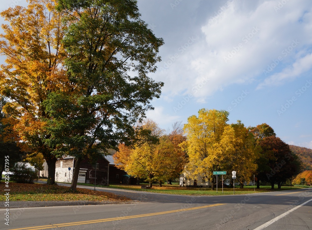 Autumn in Upstate New York