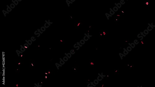 赤い薔薇　花びら　浮かび上がる　パーティクル　モーショングラフィックス