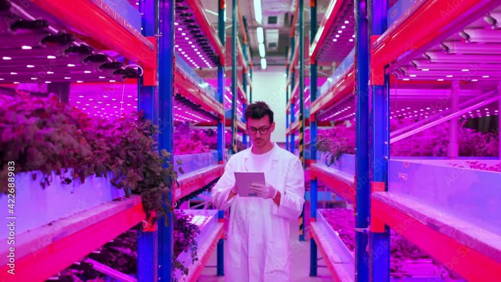 Worker with tablet on aquaponic farm, sustainable business and artificial lighting.
