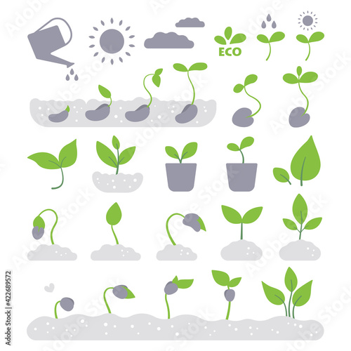 Sprouts icons set. Plant growth stages, seedlings. Seeds sprout from the ground. Leaves, germination, bio, eco, gardening, plant growing, planting, organic. Flat vector illustration.  photo