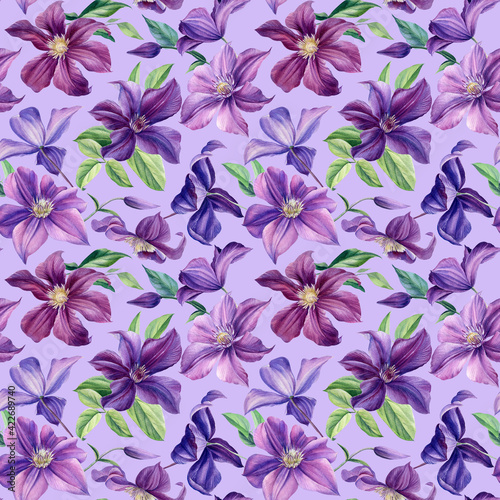 Seamless pattern. Watercolor purple flowers on isolated background  botanical painting. Floral design Clematis 