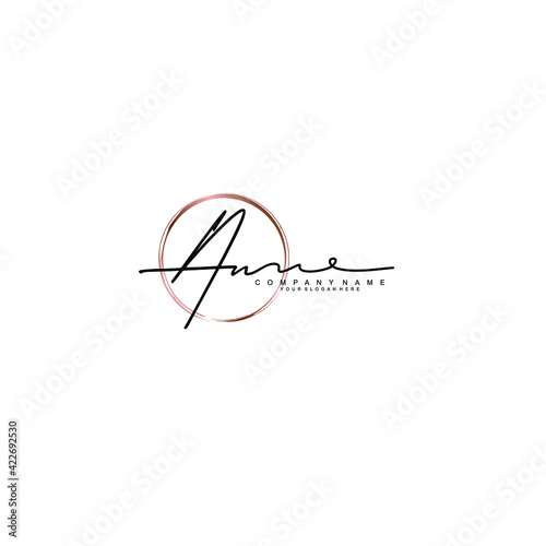 AN Initials handwritten minimalistic logo template vector