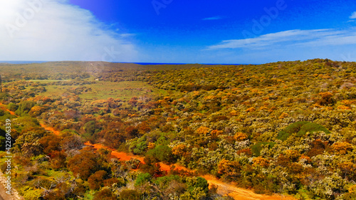 Kangaroo Island vegetation, aerial view from drone, Australia © jovannig