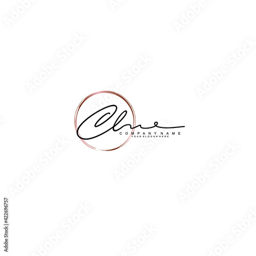 CL Initials handwritten minimalistic logo template vector