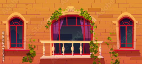 Ivy on antique building facade, vines with leaves