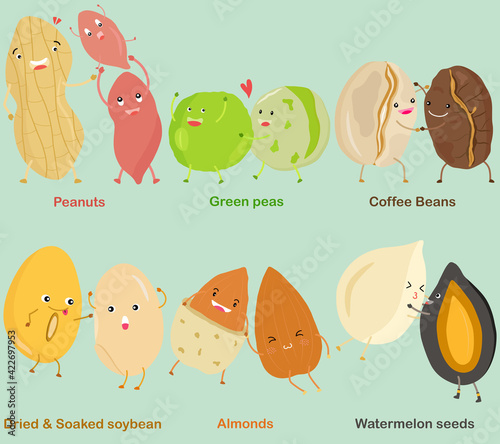Vector of Bean, Nut, Seed - Peanut, Green pea, Coffee Bean, Soybean, Almond, Watermelon seed.